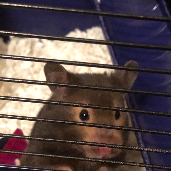 Meet your Posher, Maria - Picture 1 of 1